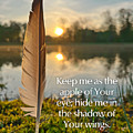 The Shadow of Your Wings